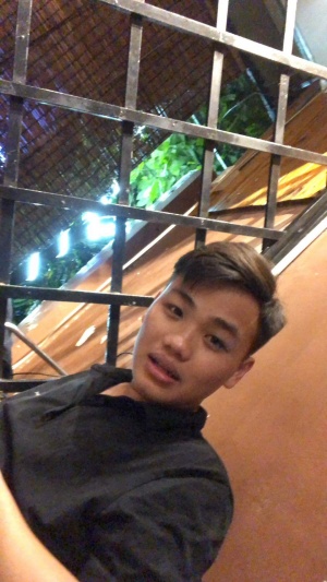 Nguyễn Quang Tấn 